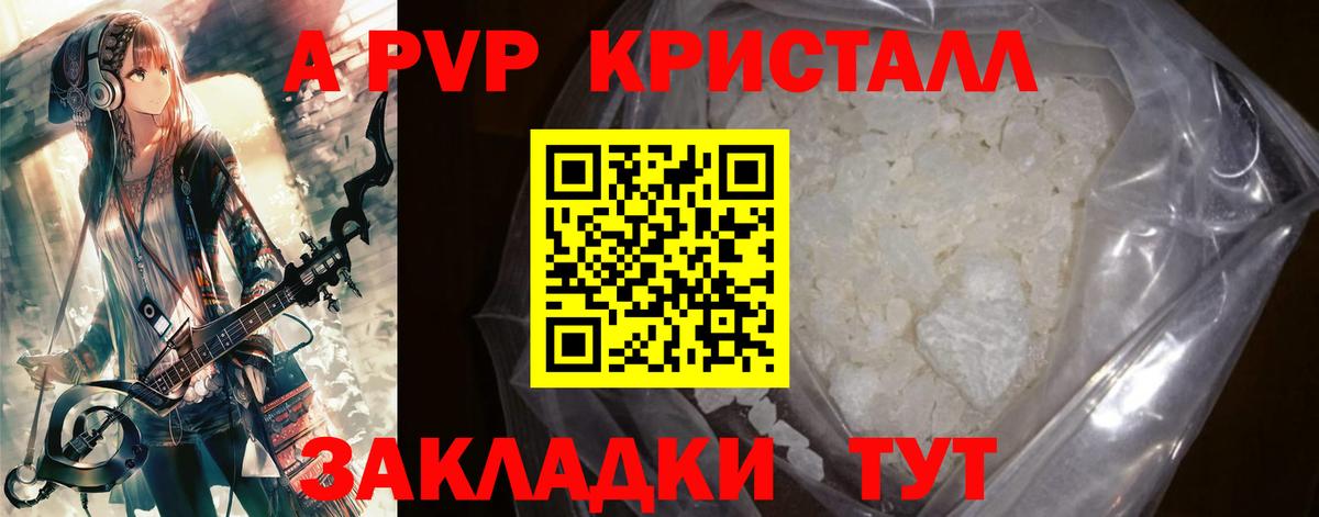 A PVP СК КРИС Тверь